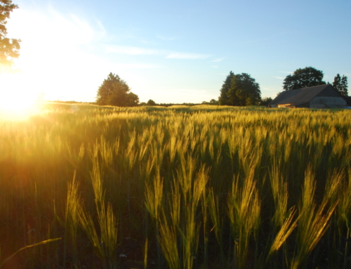 The natural and cultural treasures of Southern Estonia