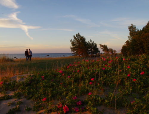 Lahemaa Rahvuspark