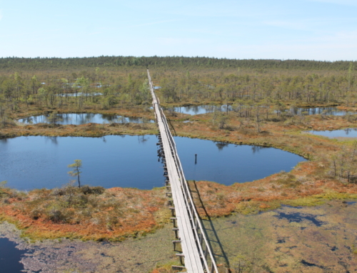 A hike on foot in the Endla Nature Reserve